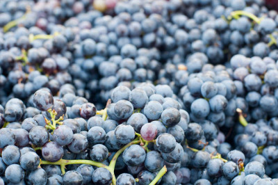 Lambrusco e pop corn Lambrusco e pop corn
