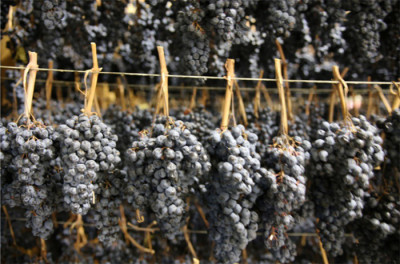 I vini proibiti / Alberto Quacquarini I vini proibiti / Alberto Quacquarini