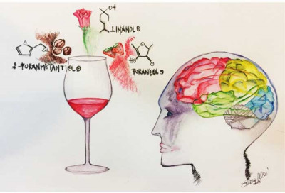 Il sommelier ha molto di più… / Illustrazione di Simona Merelli Il sommelier ha molto di più… / Illustrazione di Simona Merelli