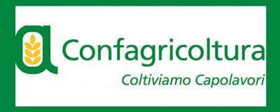 Etichettatura Europea Etichettatura Europea