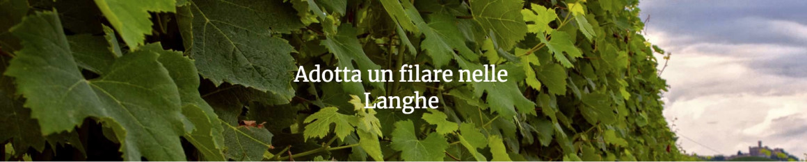 Adotta un filare in Langa e produci il tuo Barolo Adotta un filare in Langa e produci il tuo Barolo
