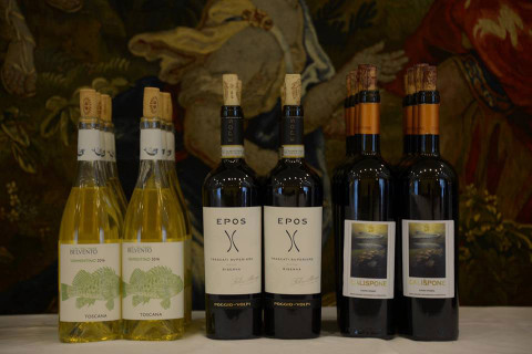 Miglior Vino Valore/Convenienza - i candidati all'Oscar del Vino 2018 Miglior Vino Valore/Convenienza - i candidati all'Oscar del Vino 2018