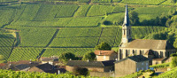 Valle della Loira Valle della Loira