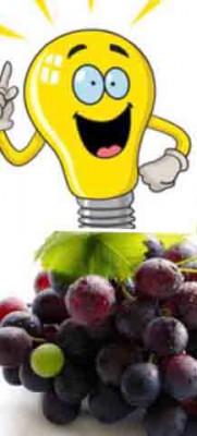 Wine Marketing Wine Marketing