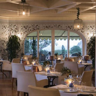 IL PELLICANO IL PELLICANO