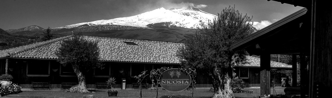 Cantine Nicosia Cantine Nicosia