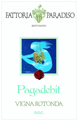 Fattoria Paradiso - Romagna Pagadebit Vigna Rotonda 2020 Fattoria Paradiso - Romagna Pagadebit Vigna Rotonda 2020