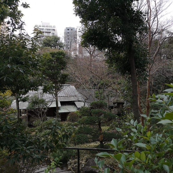 Tokyo 2023 - I corsi di Fondazione Italiana Sommelier in Giappone Tokyo 2023 - I corsi di Fondazione Italiana Sommelier in Giappone