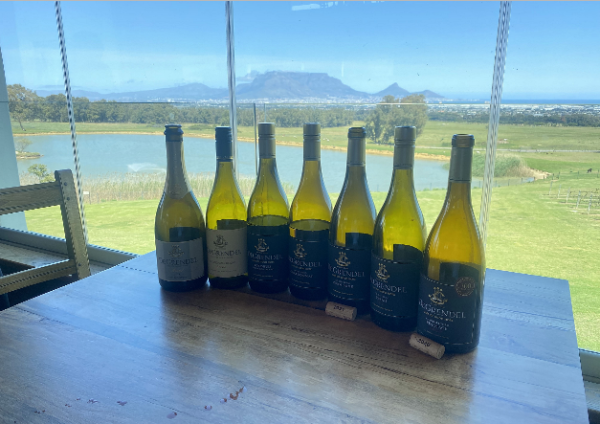 Racconti di Viaggio / Sudafrica: tra vigneti e savana. Racconti di Viaggio / Sudafrica: tra vigneti e savana.