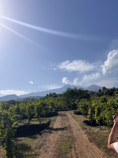 Etna Days Etna Days