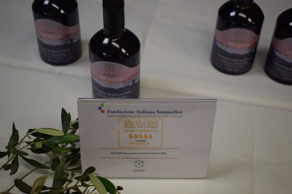 La Festa delle 5 Gocce di Bibenda 2023 in Sardegna La Festa delle 5 Gocce di Bibenda 2023 in Sardegna