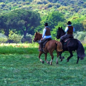 Fotografia Fotografia