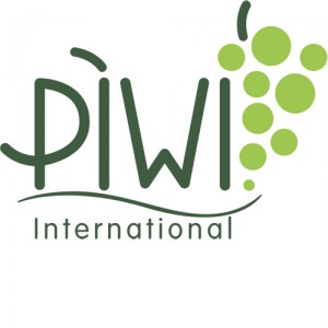 Fotografia Fotografia