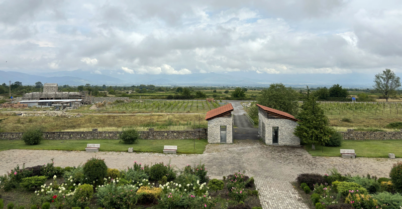 Badagoni, vista sui vigneti