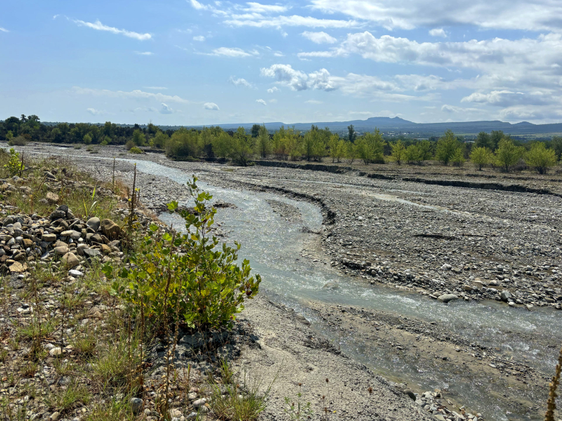 Siamo nella regione del Kakheti nelle vigne di Zurab Topuridze, adiacenti alle rive del fiume Kisiskhevi