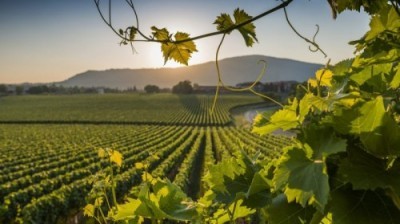 Viaggio in Umbria con Fondazione Italiana Sommelier