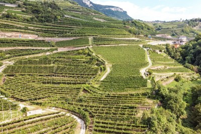 Viaggio in Trentino con Fondazione Italiana Sommelier