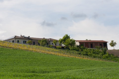 L'azienda Montariolo