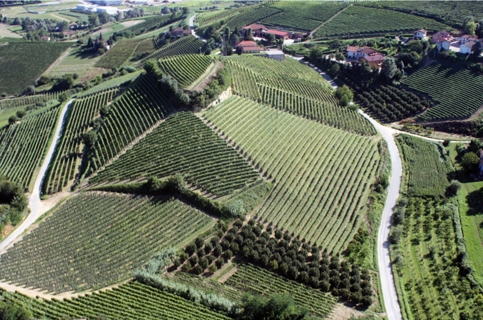 Panoramica dell'azienda Bric Castelvej