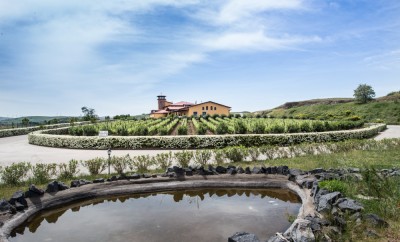 Cantine del Notaio