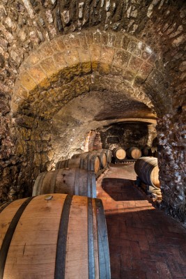 La cantina con le barrique dell'azienda Cantine del Notaio