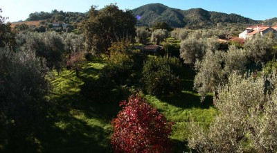 L'azienda di Roberto Maiorano