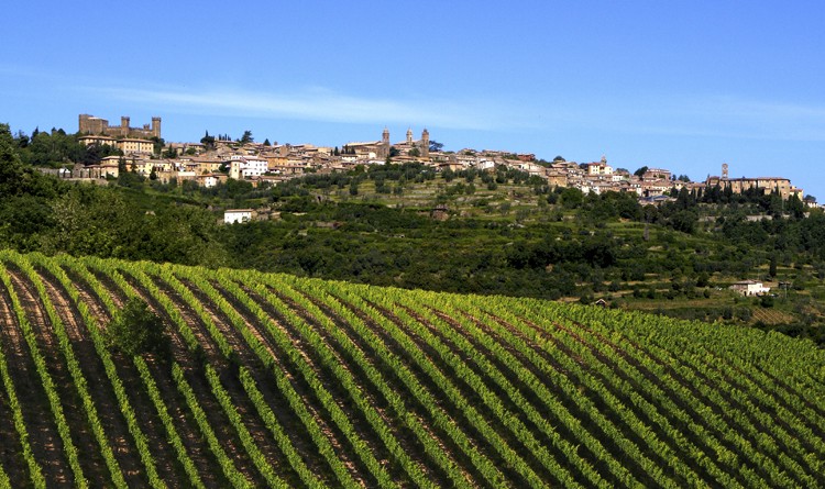 Le vigne di Montalcino