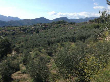 La Tenuta Colabella Extremum di Paolo Cassini