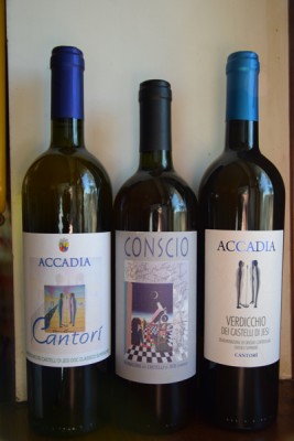 I vini di Cantine Accadia