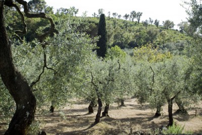 L’Itrana di Cosmo Di Russo