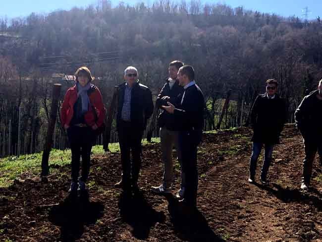 La visita alle vigne dell'azienda Masari