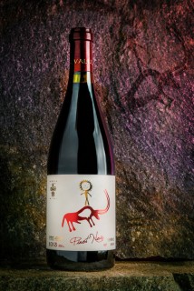 Pino Arba pinot Noir Riserva 2014