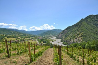 Fondazione Italiana Sommelier e l’incontro con i produttori del Timorasso