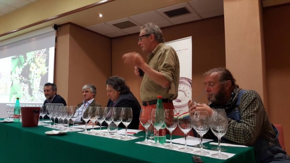 Fondazione Italiana Sommelier e l’incontro con i produttori del Timorasso