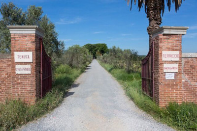 L'ingresso del Castello del Terriccio