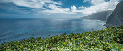 Madeira e le sue perle