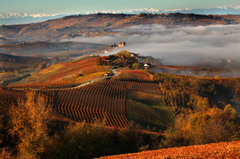 veduta delle terre del Barolo