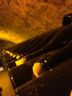 Bollinger Vieilles Vignes Françaises Bollinger Vieilles Vignes Françaises