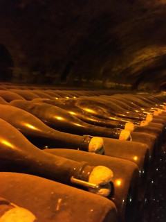 Bollinger Vieilles Vignes Françaises Bollinger Vieilles Vignes Françaises