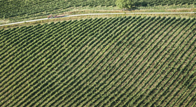 Lambrusco e pop corn