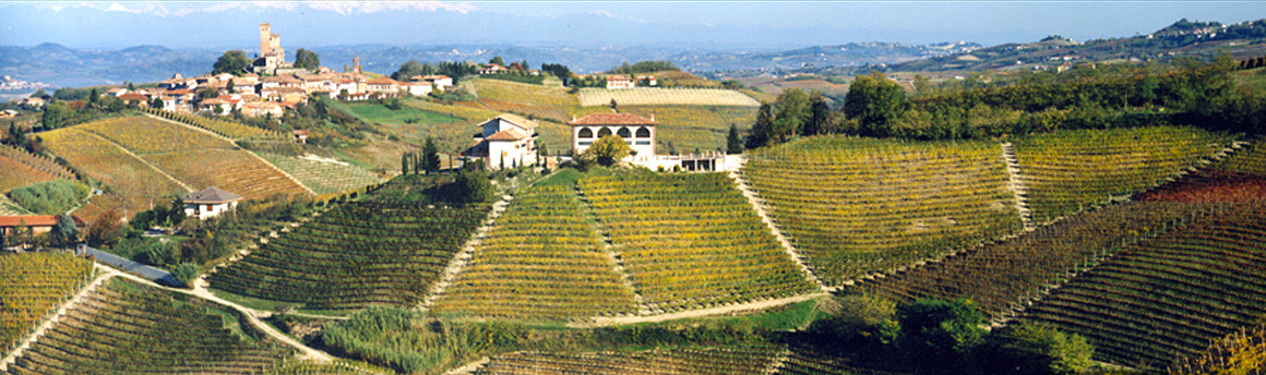 Panoramica Azienda Agricola Falletto di Bruno Giacosa