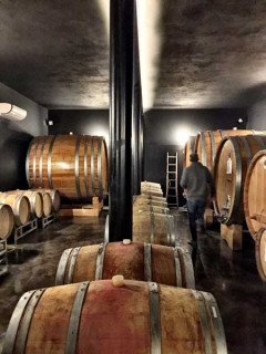 Una passeggiata a Monforte tra gufi, furetti, natura e tranquillità / La cantina dell'azienda Réva