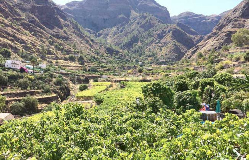 Vitigni sull’Oceano: Gran Canaria