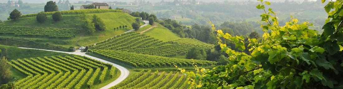 Il cuore pulsante di Valdobbiadene / Bortolomiol