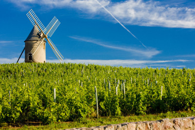 Cru Beaujolais