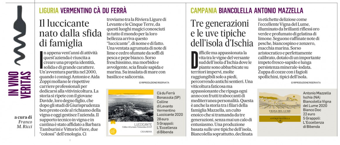 Il Messaggero dell'11 gennaio Il Messaggero dell'11 gennaio