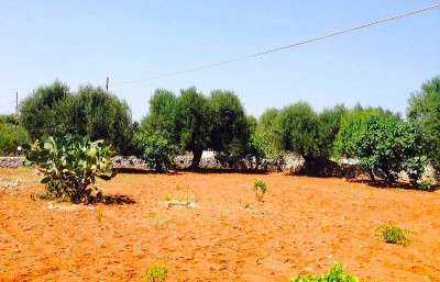 terre rosse - Ostuni