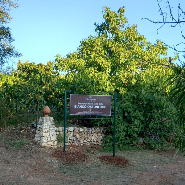 Vigna Bianco Ostuni DOC Villa Agreste