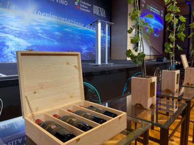 Fondazione Italiana Sommelier Fondazione Italiana Sommelier