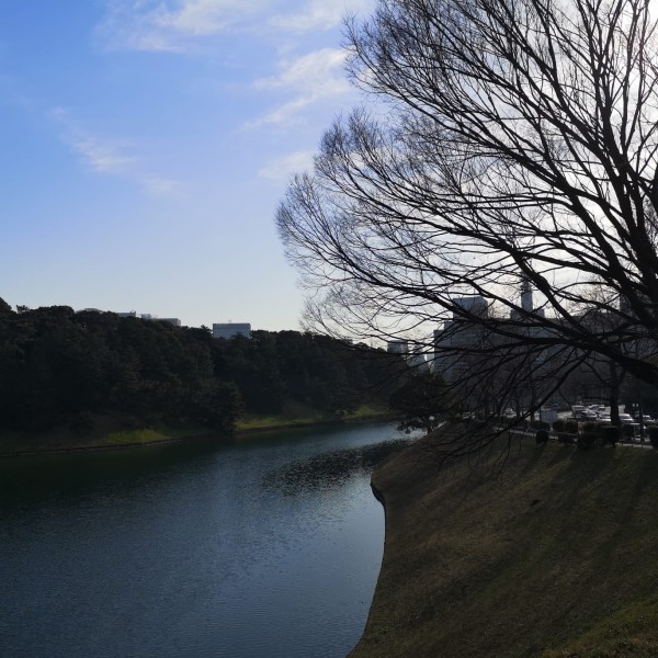 Tokyo 2023 - I corsi di Fondazione Italiana Sommelier in Giappone